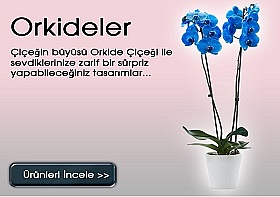 ORKDE
