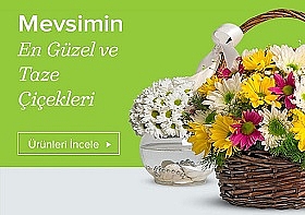 Kutuda iekler