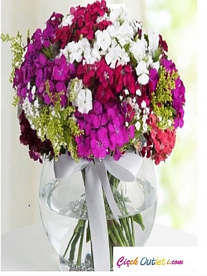 NDRML fanusta hsn yusuf iei