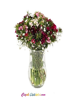 paabahe vazoda hsn yusuf iegi