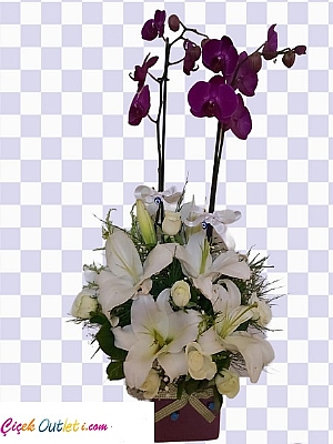 ithal orkide lilyum ve beyaz g�l 