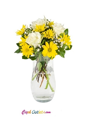 paabahe vazoda kr iegi ve beya gller