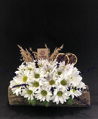 ktkde kriei ve lavanta