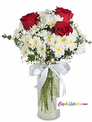 NDRML  Papatya ve 3 gl zerafeti