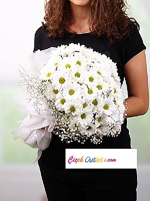 Kucak Dolusu Papatya