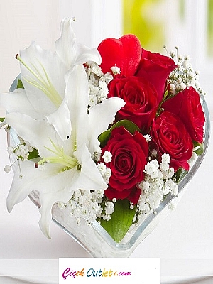 NDRML  kalp vazoda lilyum ve gl arajmani