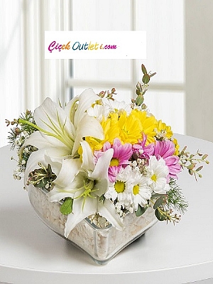 a�k�n b�y�s�