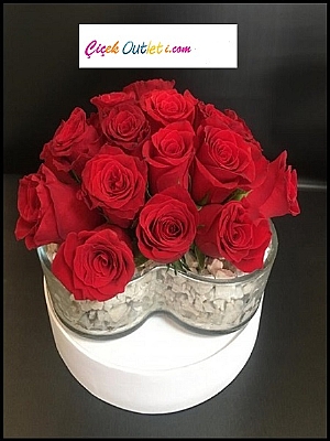 NDRML  kalp vazoda 20 gl